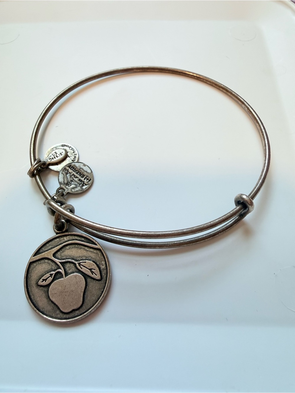 Alex and Ani Bangle